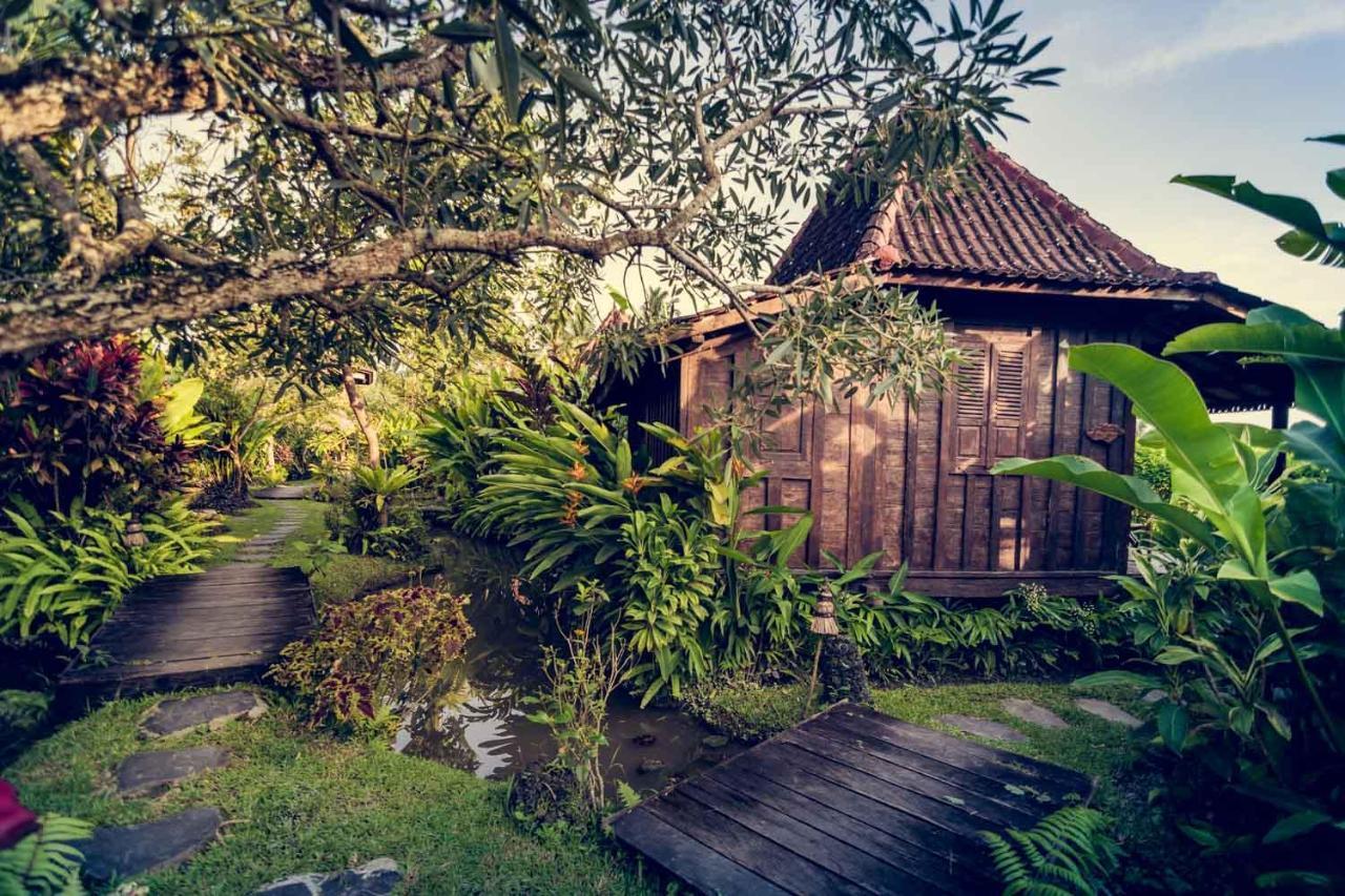 Dragonfly Village Ubud Eksteriør bilde