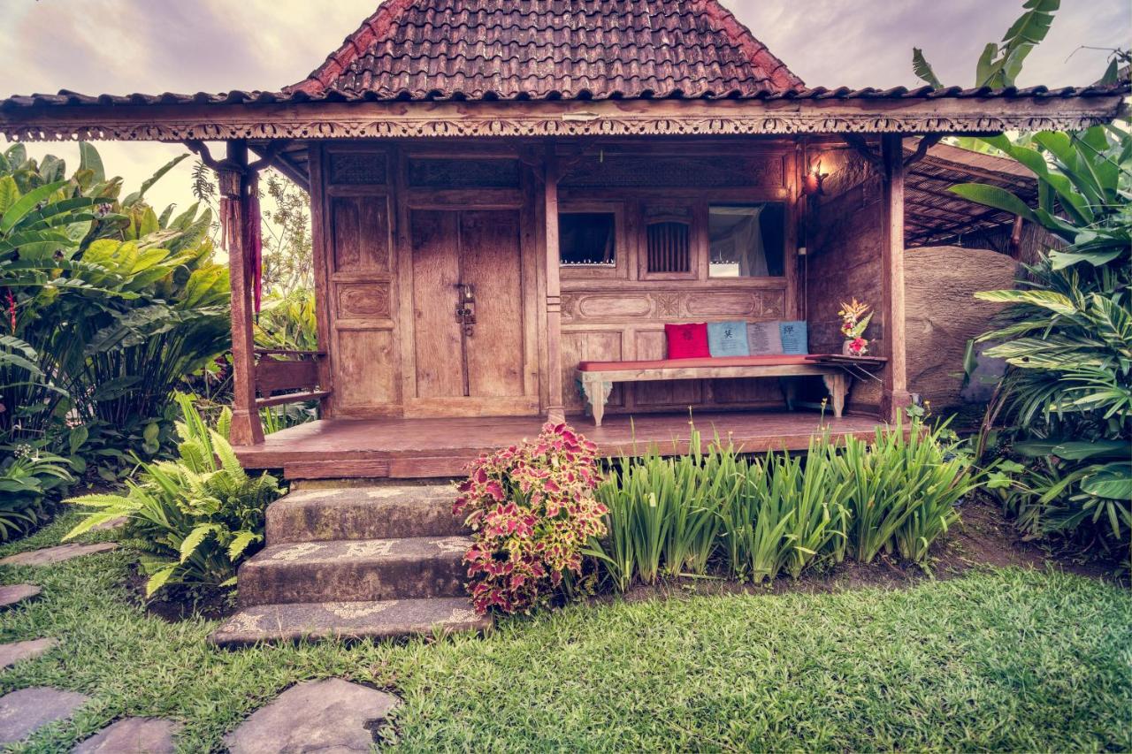 Dragonfly Village Ubud Eksteriør bilde