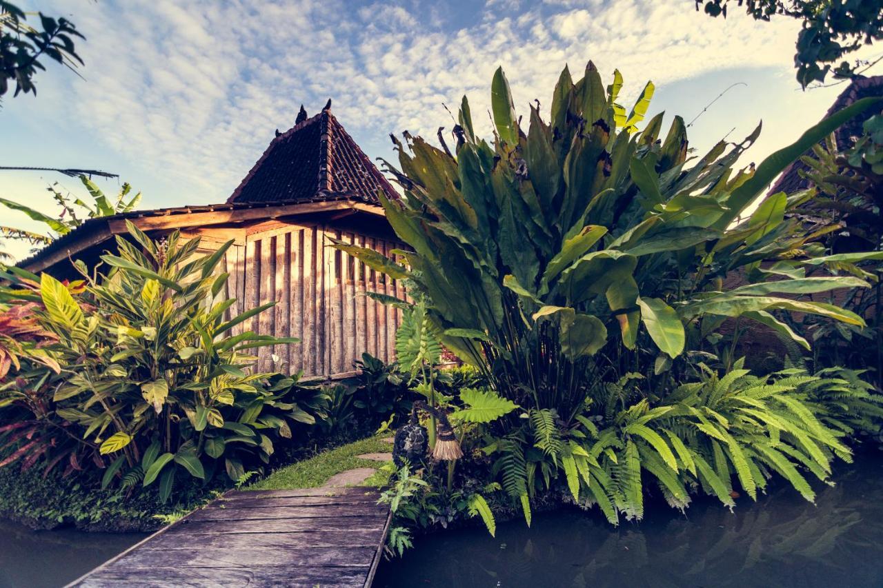 Dragonfly Village Ubud Eksteriør bilde