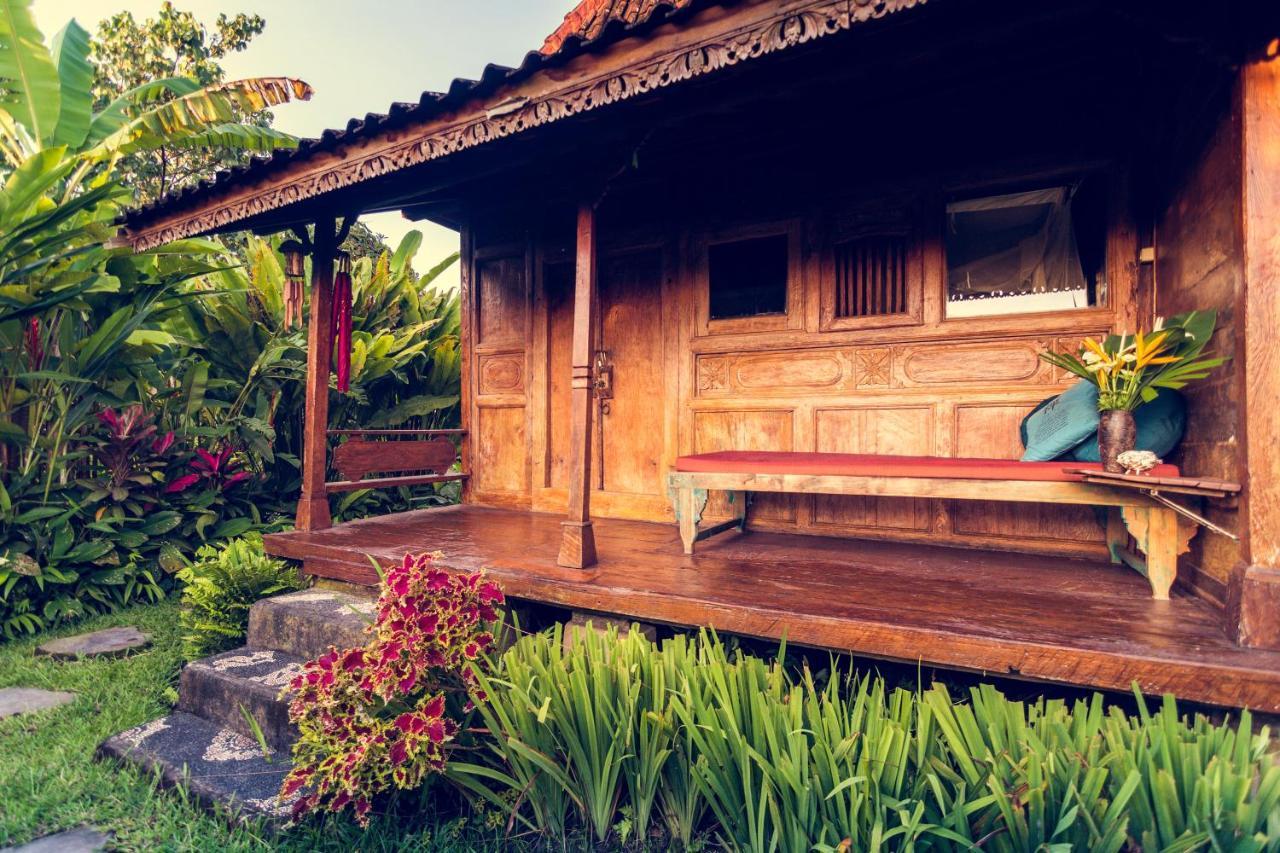 Dragonfly Village Ubud Eksteriør bilde