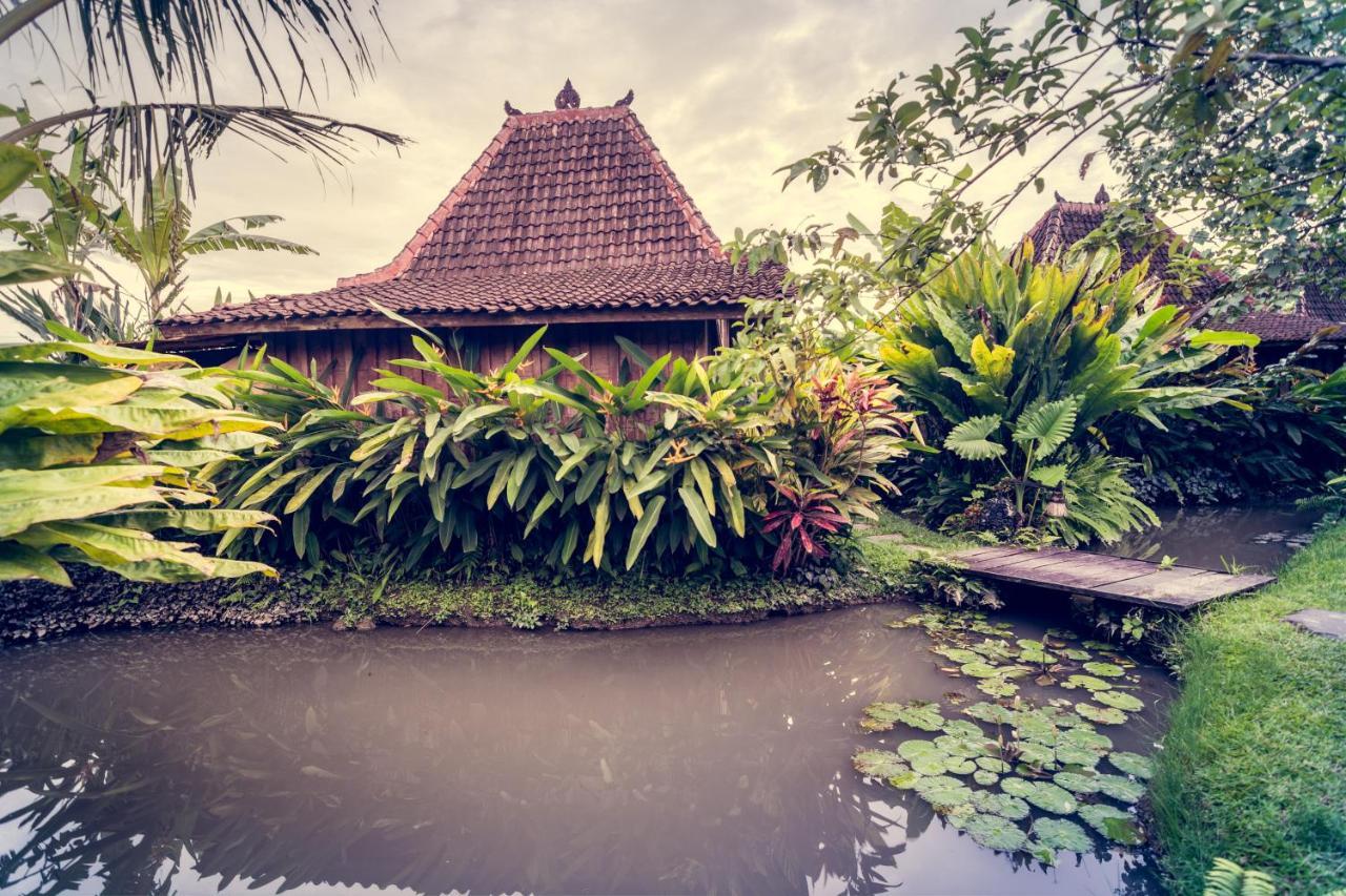 Dragonfly Village Ubud Eksteriør bilde