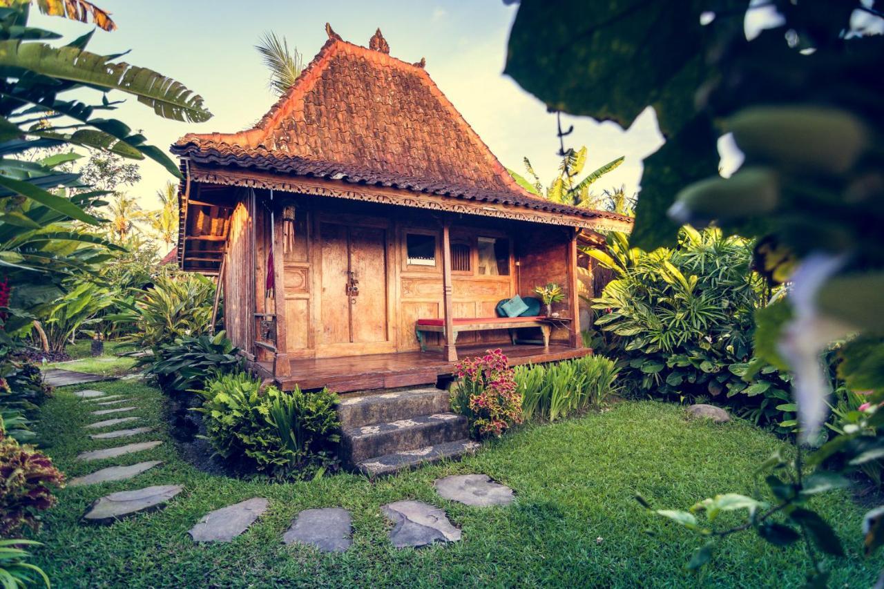 Dragonfly Village Ubud Eksteriør bilde