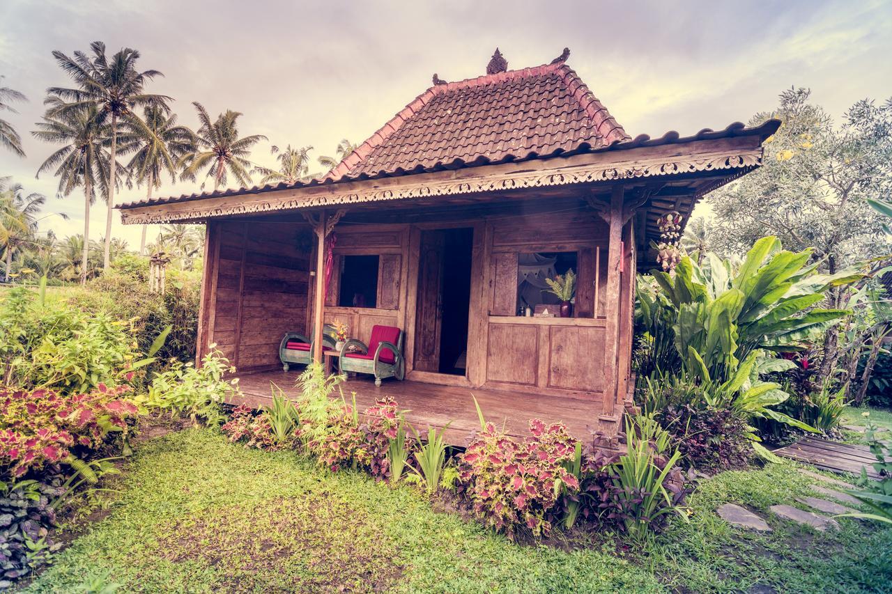 Dragonfly Village Ubud Eksteriør bilde