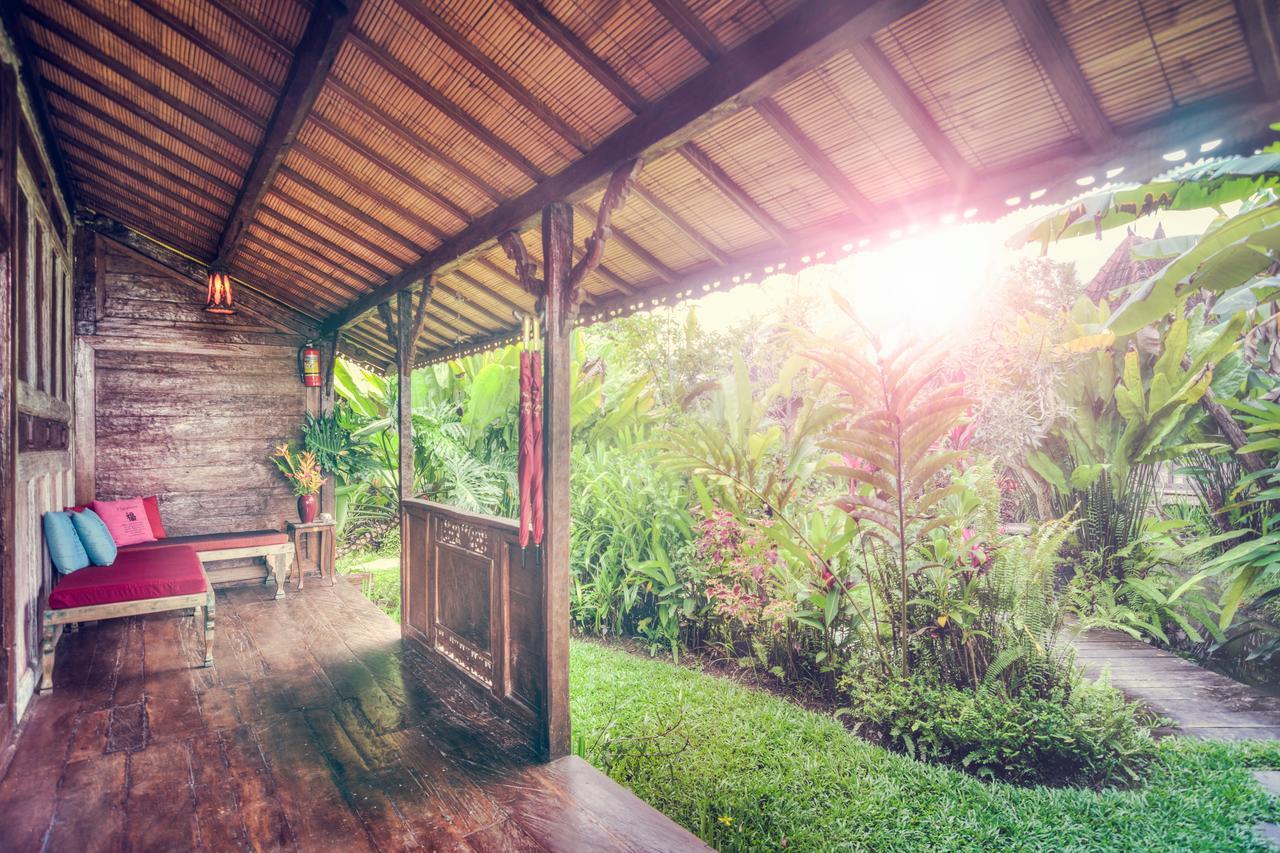 Dragonfly Village Ubud Eksteriør bilde