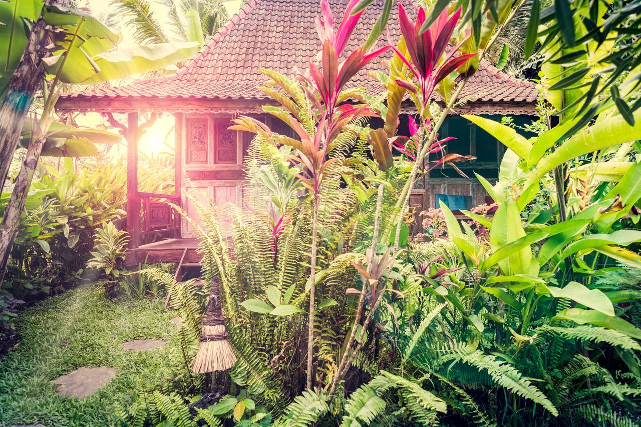 Dragonfly Village Ubud Eksteriør bilde