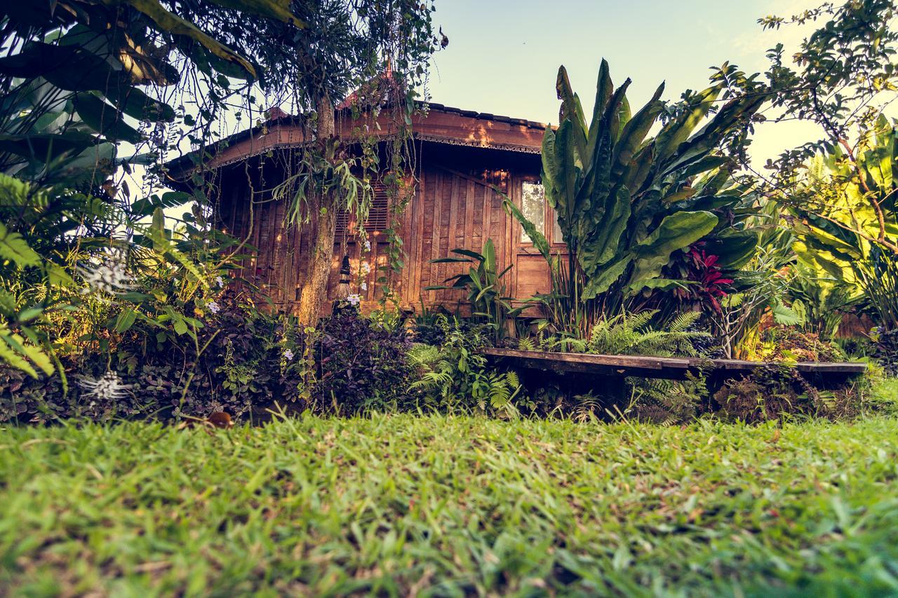 Dragonfly Village Ubud Eksteriør bilde