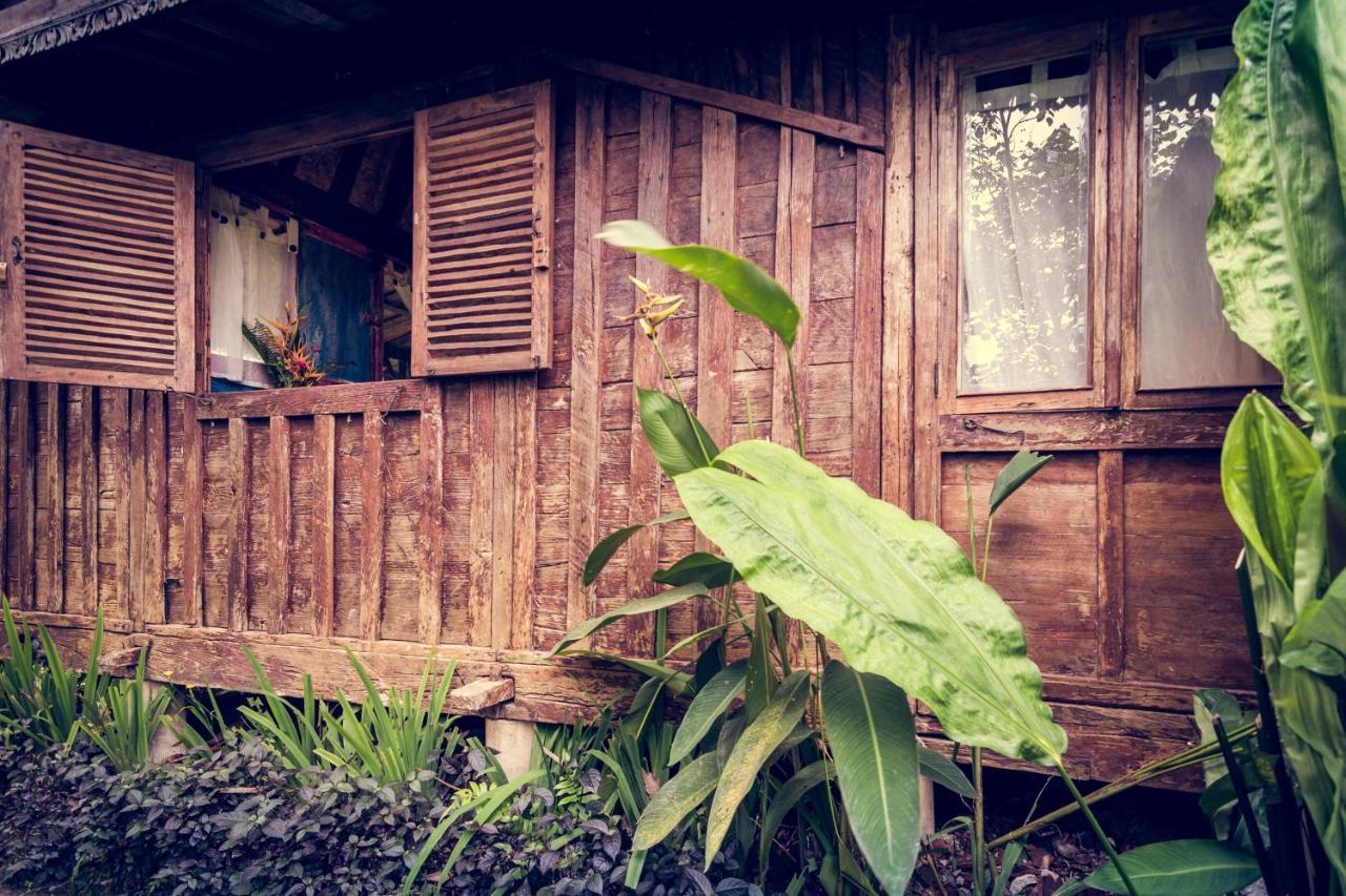 Dragonfly Village Ubud Eksteriør bilde