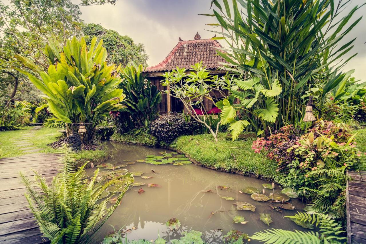 Dragonfly Village Ubud Eksteriør bilde