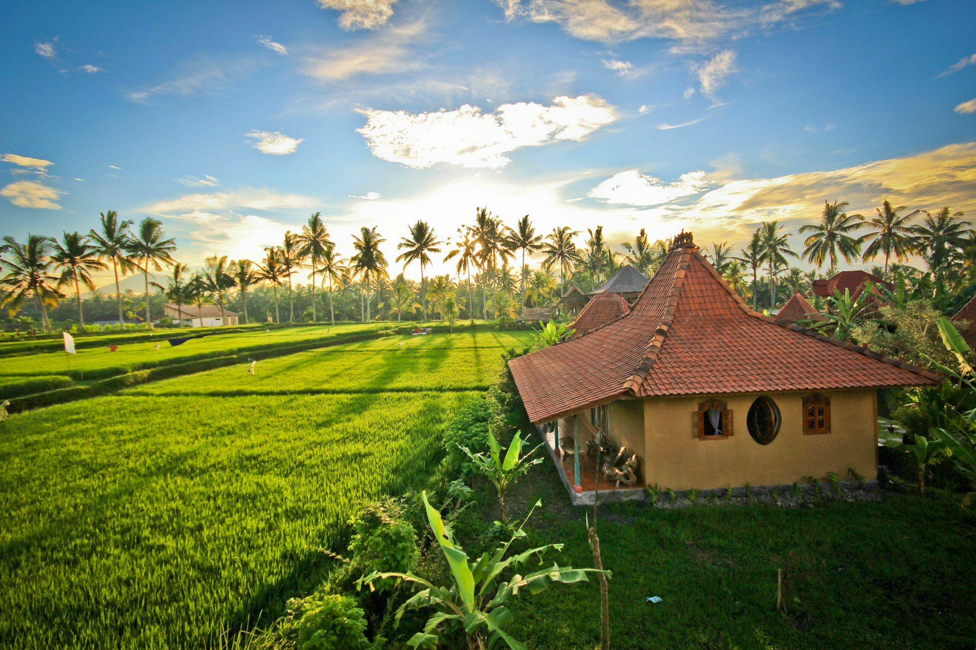 Dragonfly Village Ubud Eksteriør bilde